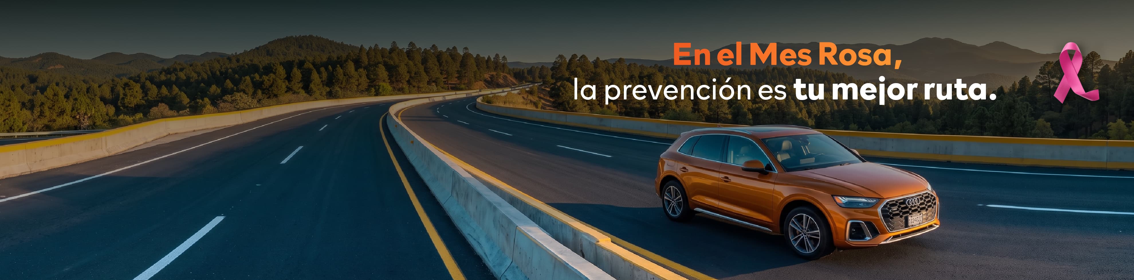 Promoción BitCar — Leasing y crédito automotriz